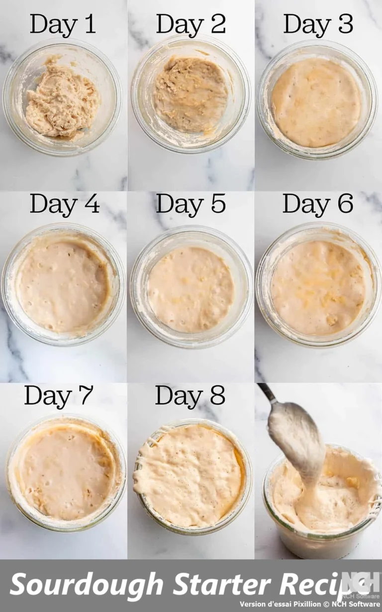 Sourdough Starter