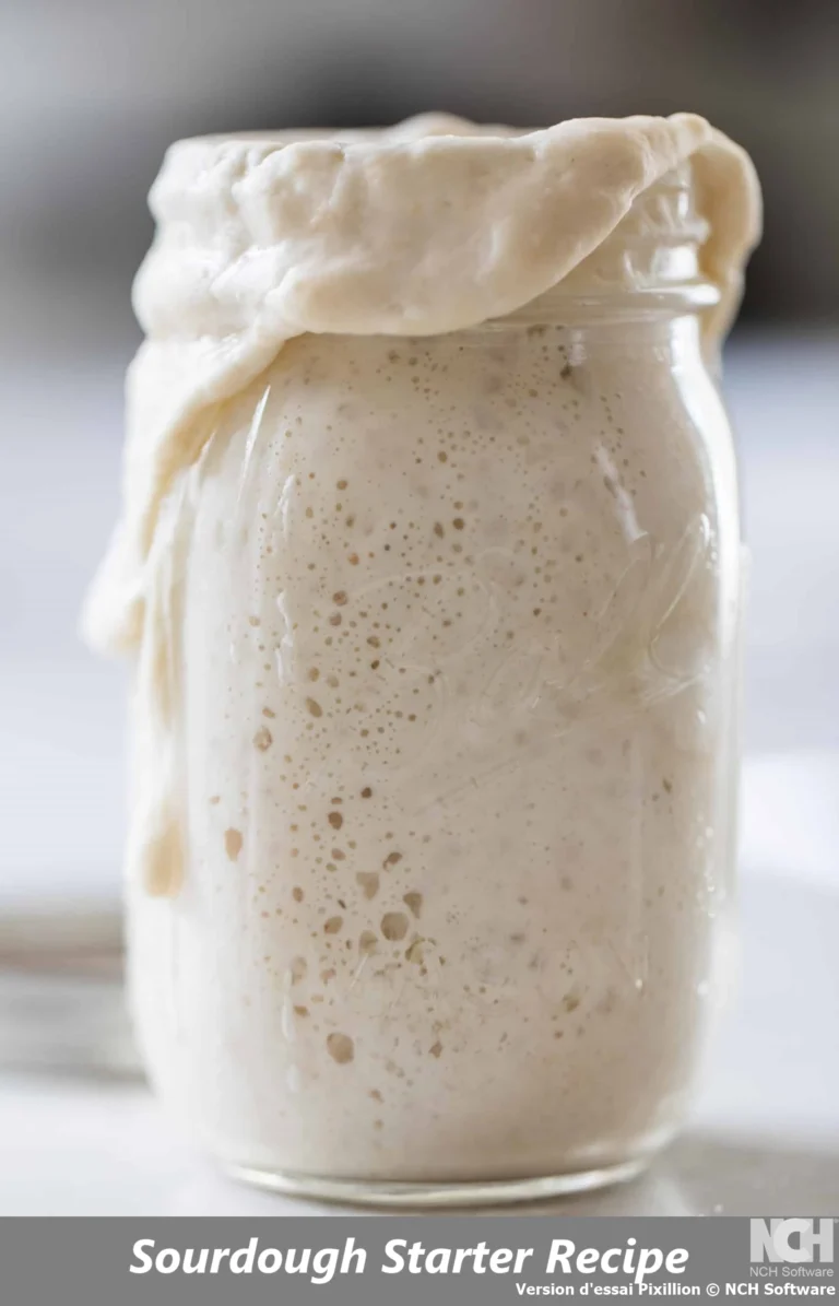 Sourdough Starter